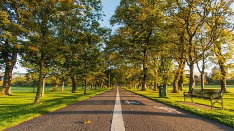 Peaceful Autumn Pathway Through Nature's Embrace wallpaper