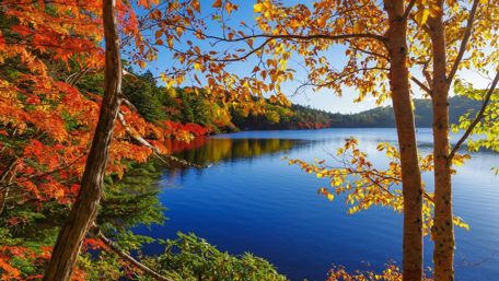 Fall lake view wallpaper