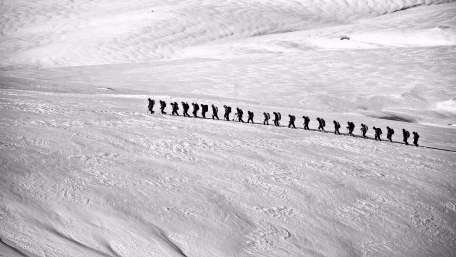 Climbers photograph wallpaper