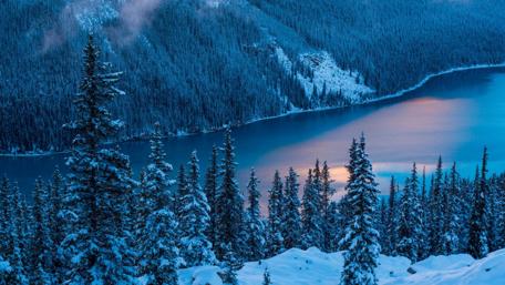 Peyto Lake wallpaper