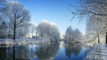 Winter reflection in canal wallpaper
