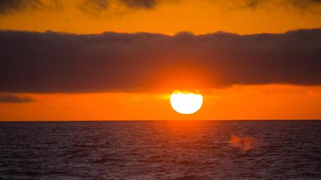 Sunset wallpaper