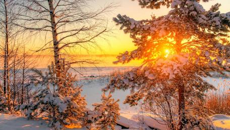 Winter in the Leningrad Region, Russia wallpaper