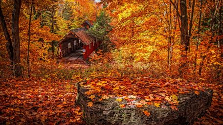 Abandoned old house wallpaper