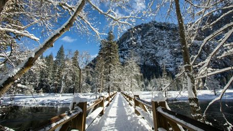 Snowy walkway bridge in the forest wallpaper