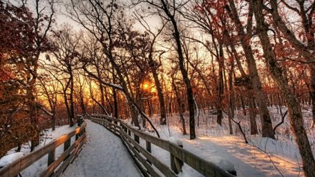 Winter path wallpaper