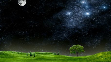 Full moon over the grass field wallpaper