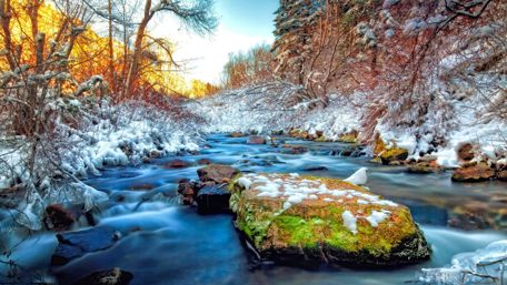 Winter Serenity in a Frozen Creek wallpaper
