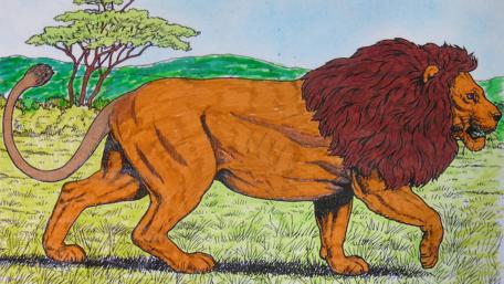 Majestic Lion Roaming the Savanna wallpaper
