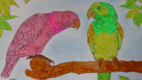 Vibrant Fantasy Parrots in Colorful Harmony wallpaper