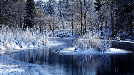 Winter Serenity in Nature's Embrace wallpaper