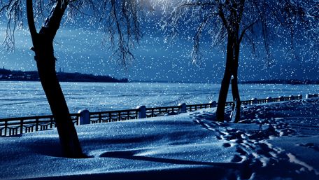 Night snowfall wallpaper