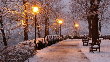 Winter Evening Serenity in the Park wallpaper