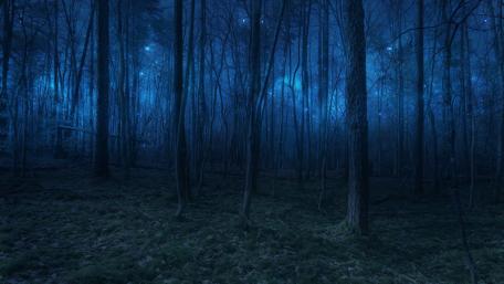 Starlights in twilight wallpaper