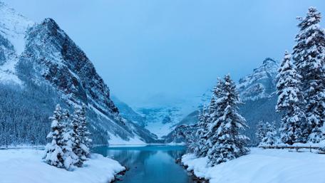 Winter Lake Louise wallpaper