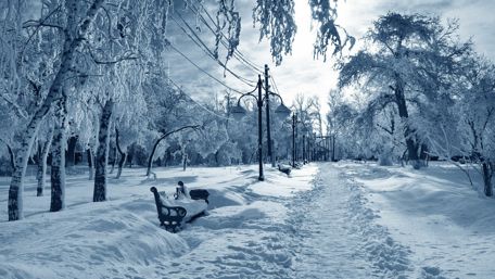 Serene Winter Wonderland Scene wallpaper