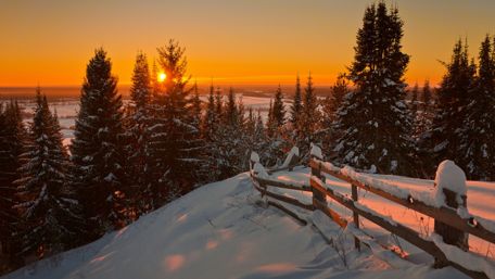 Winter Sunset Over Snowy Pines and Fence wallpaper