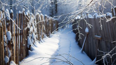 Winter Wonderland Pathway Through Snowy Landscape wallpaper