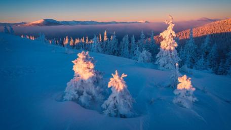 Carpathian slopes in Ukraine wallpaper