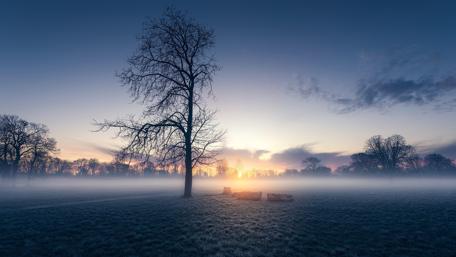 Misty morning wallpaper