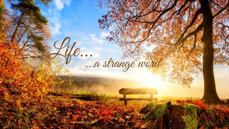 Life wallpaper