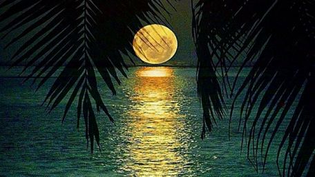 Full moon over the sea wallpaper