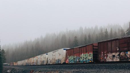 Tranquil Morning Fog Over Graffiti Trains wallpaper
