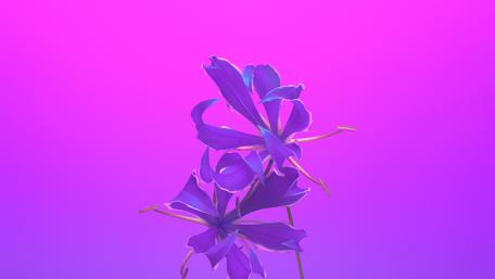 Purple flower illustration art wallpaper