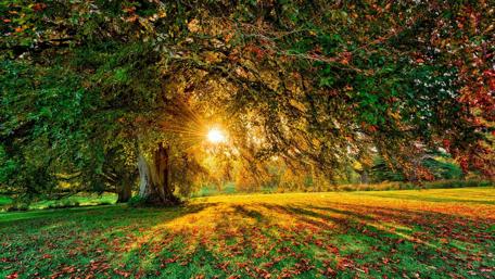 Autumn time wallpaper