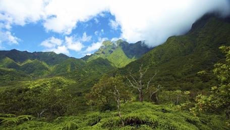 Misty mountains in Hawaiian Islands wallpaper