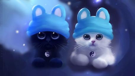 Black and white cats wallpaper