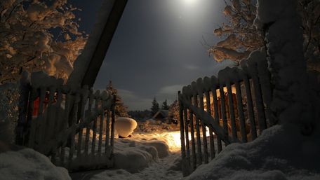 Winter's Embrace Under a Moonlit Sky wallpaper