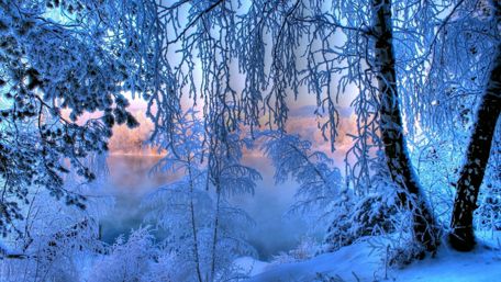 Winter Wonderland in Tranquil Blue Shades wallpaper