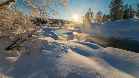 Winter Serenity in Sunlit Snow wallpaper