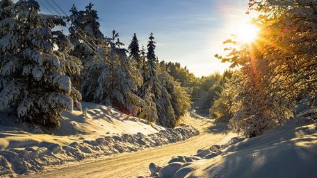 Winter Sunshine Over Snowy Forest Road wallpaper