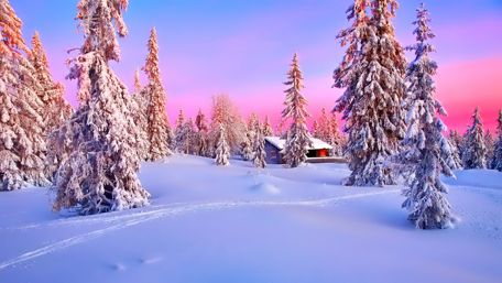 Winter Serenity in a Snowy Forest Retreat wallpaper