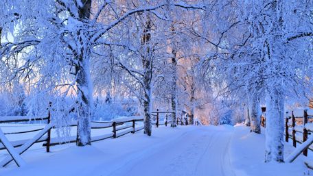 Snowy fence wallpaper