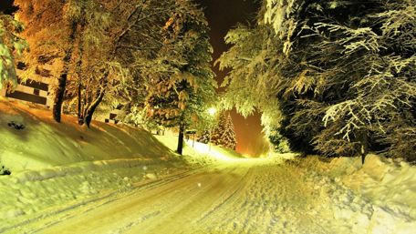 Winter night road wallpaper