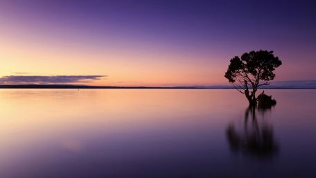 Calm sunset wallpaper