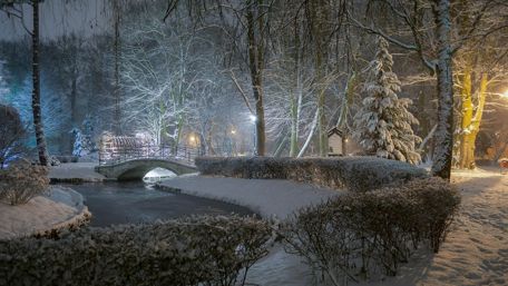 Park in the winter wallpaper