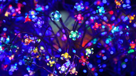 Colorful flower lamp wallpaper