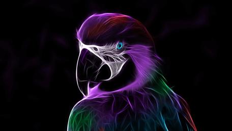 Neon light parrot wallpaper