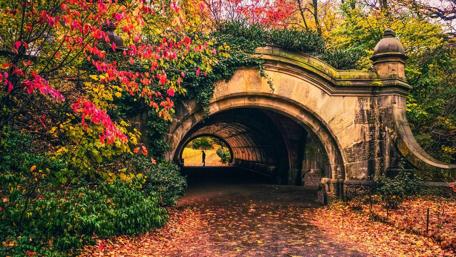 Autumn Prospect Park Passage - Brooklyn wallpaper