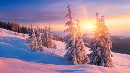 Winter Sunrise Over Snowy Landscape wallpaper