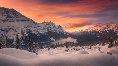 Peyto Lake - Banff National Park wallpaper