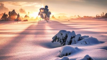 Winter's Embrace in a Snowy Landscape wallpaper