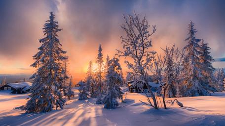 Winter Wonderland at Dusk wallpaper