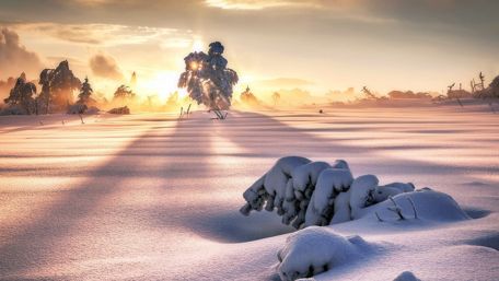 Winter sunlight wallpaper