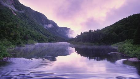 Purple landscape reflection wallpaper