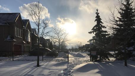 Sunlight with Snow wallpaper